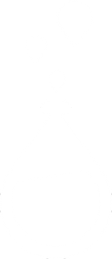 white Brilliant Labs logo