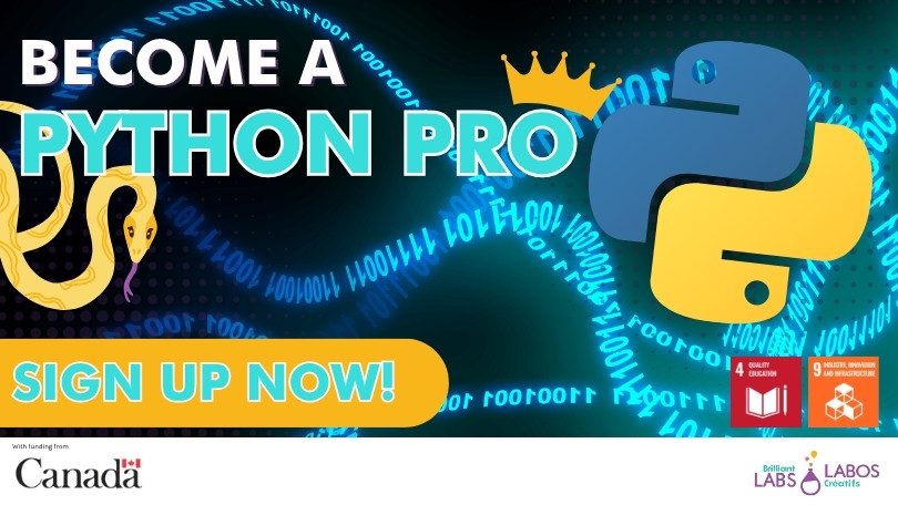 Virtual Python Coding Camp Feature Image